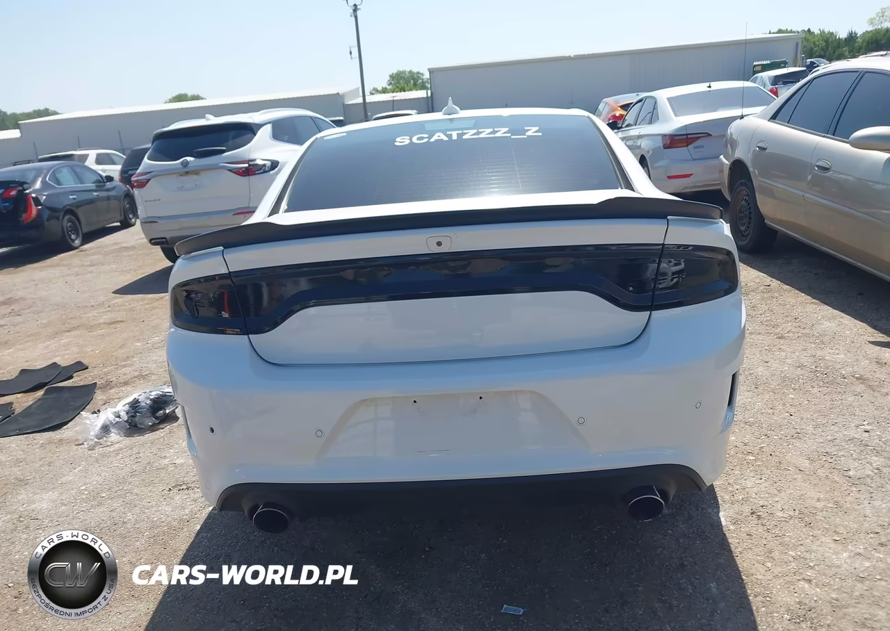 2020 Dodge Charger Scat Pack Rwd VIN:2C3CDXGJ1LH111573 - 17