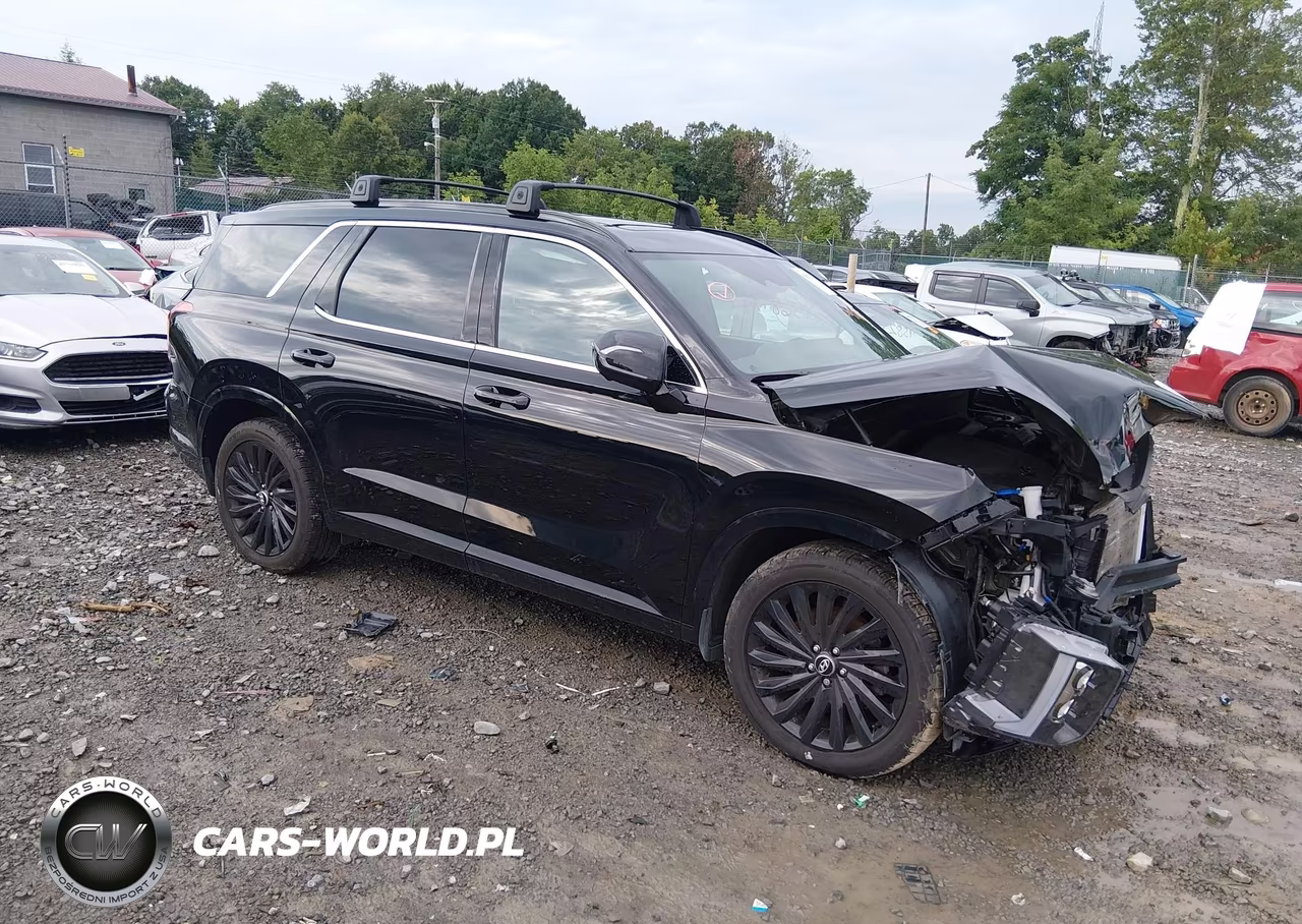 2025 Hyundai Palisade Calligraphy Night Edition