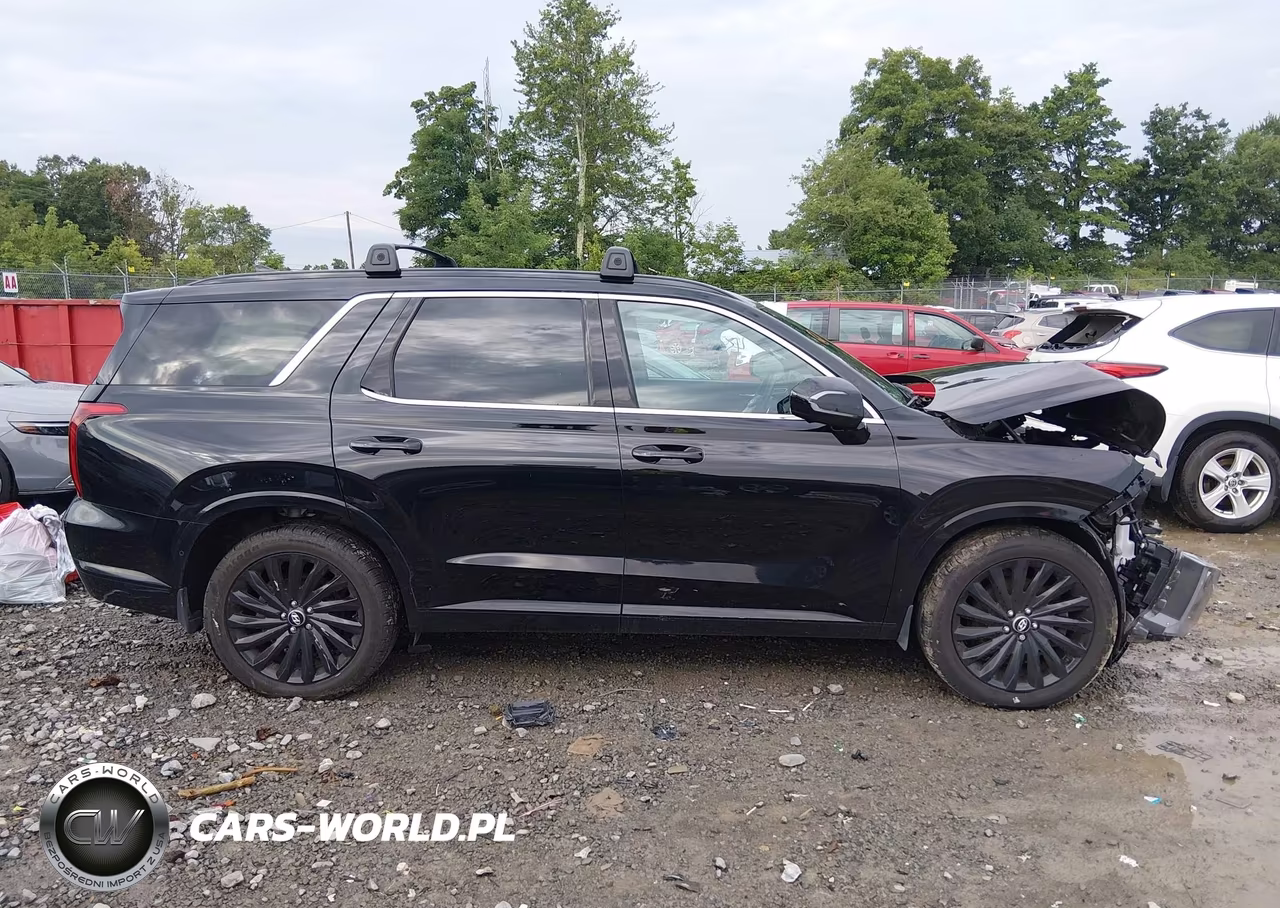 2025 Hyundai Palisade Calligraphy Night Edition VIN:KM8R7DGE0SU807752 - 14