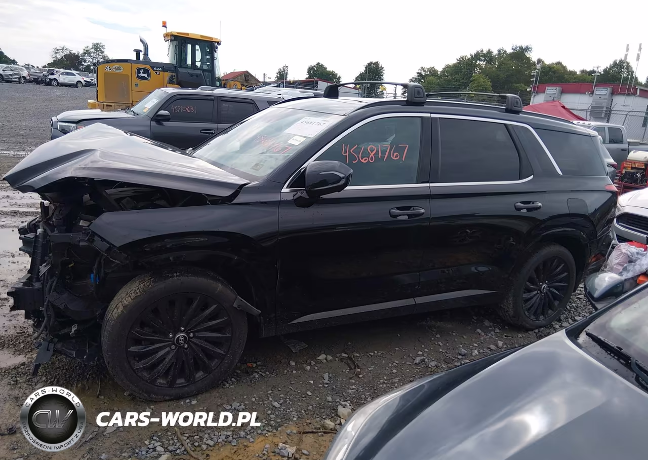 2025 Hyundai Palisade Calligraphy Night Edition VIN:KM8R7DGE0SU807752 - 15