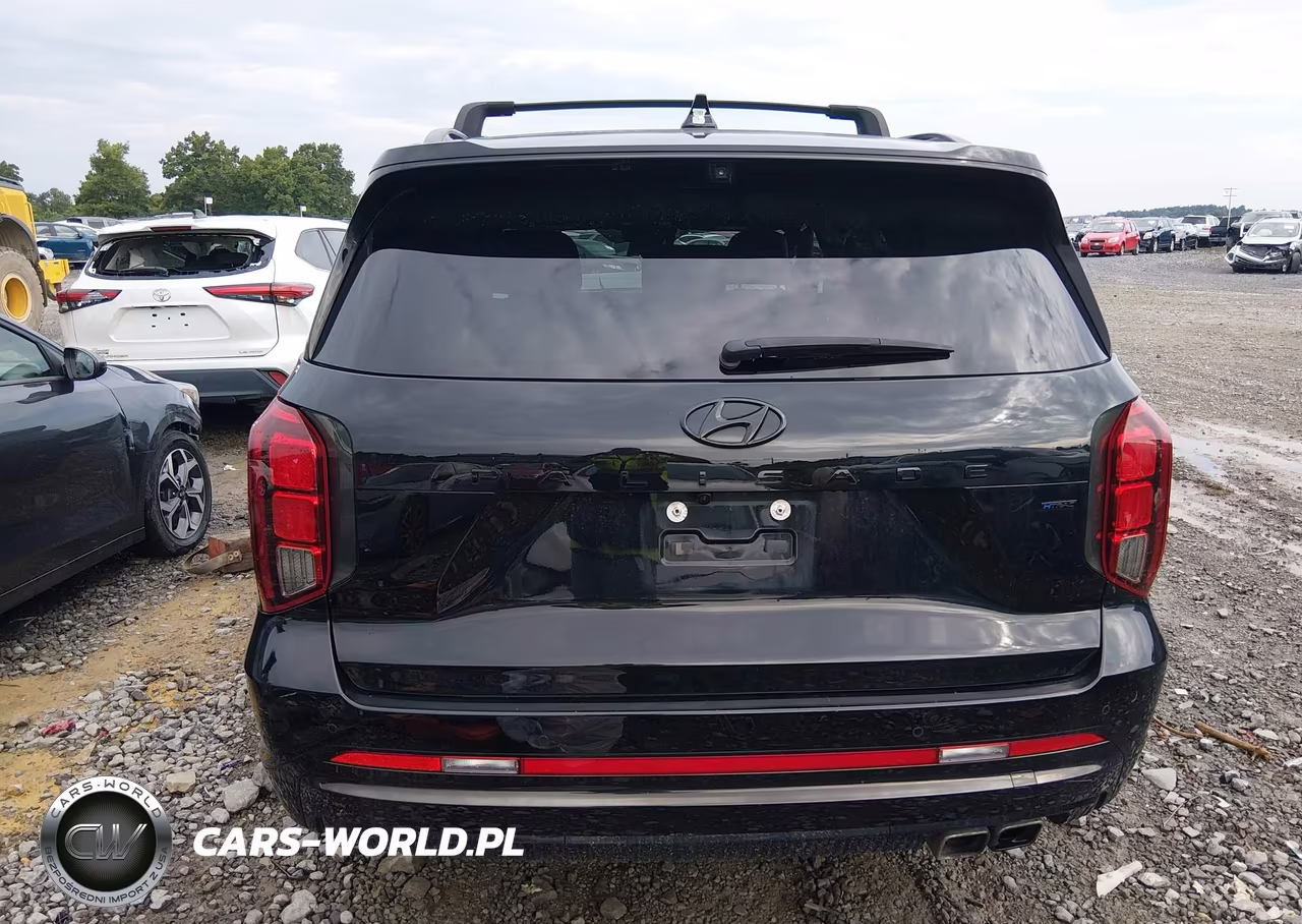 2025 Hyundai Palisade Calligraphy Night Edition VIN:KM8R7DGE0SU807752 - 17