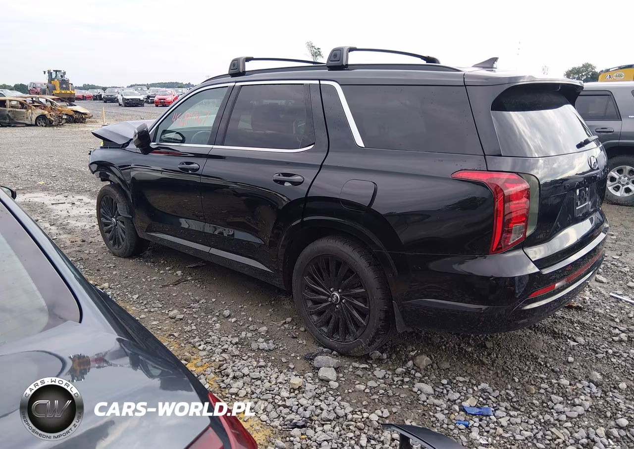 2025 Hyundai Palisade Calligraphy Night Edition VIN:KM8R7DGE0SU807752 - 3