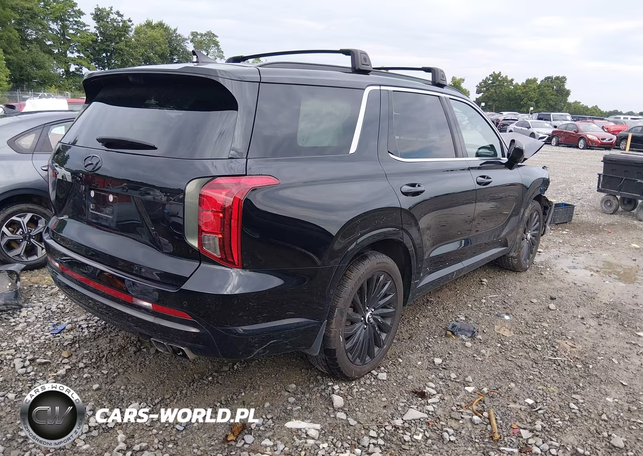 2025 Hyundai Palisade Calligraphy Night Edition VIN:KM8R7DGE0SU807752 - 4