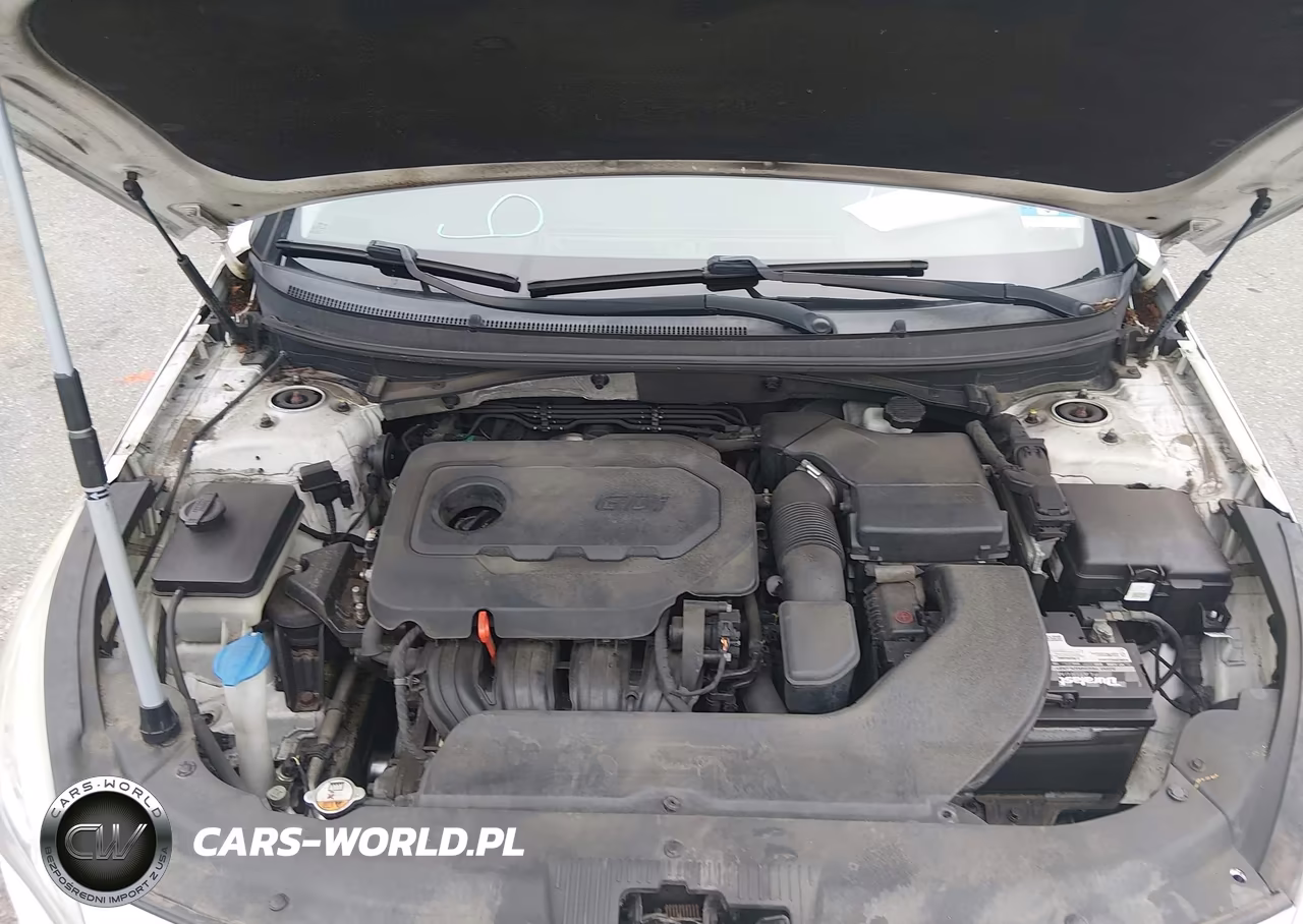 2015 Hyundai Sonata Sport VIN:5NPE34AF1FH209783 - 10