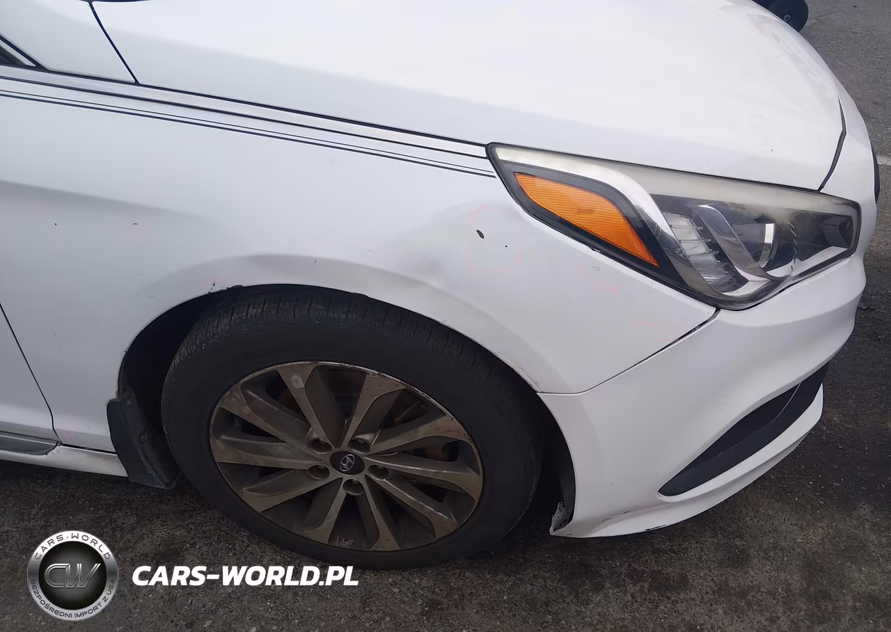 2015 Hyundai Sonata Sport VIN:5NPE34AF1FH209783 - 6