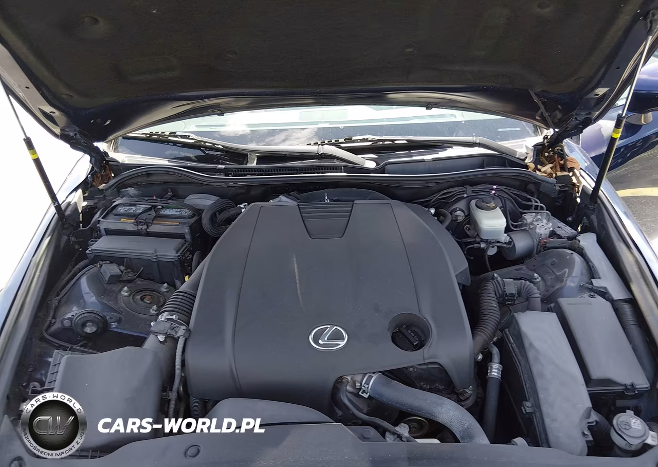 2015 Lexus Is 250 VIN:JTHBF1D21F5052613 - 10