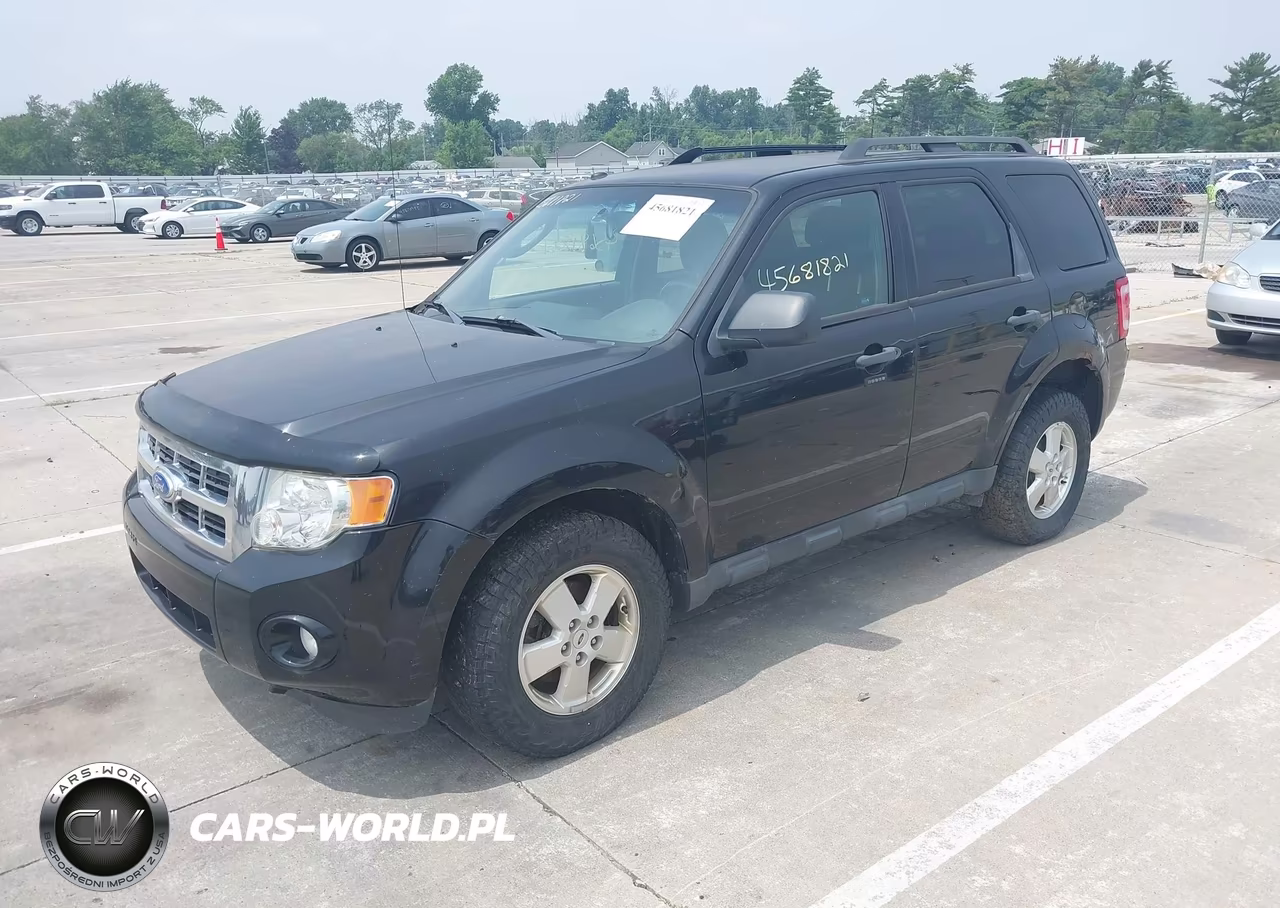 2011 Ford Escape Xlt VIN:1FMCU9DG6BKB99586 - 2