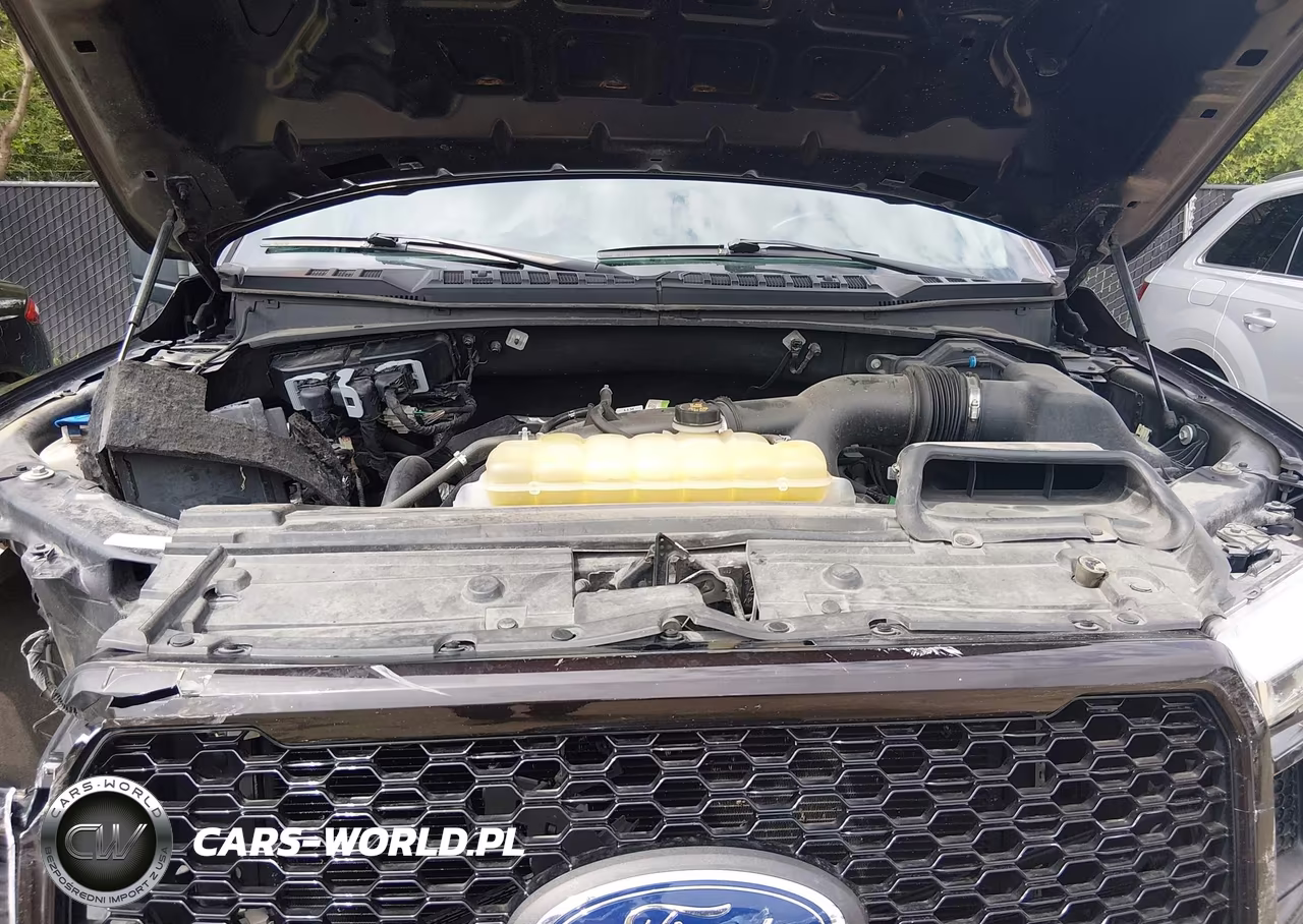 2019 Ford F-150 Xl VIN:1FTEW1EP6KKE35788 - 10