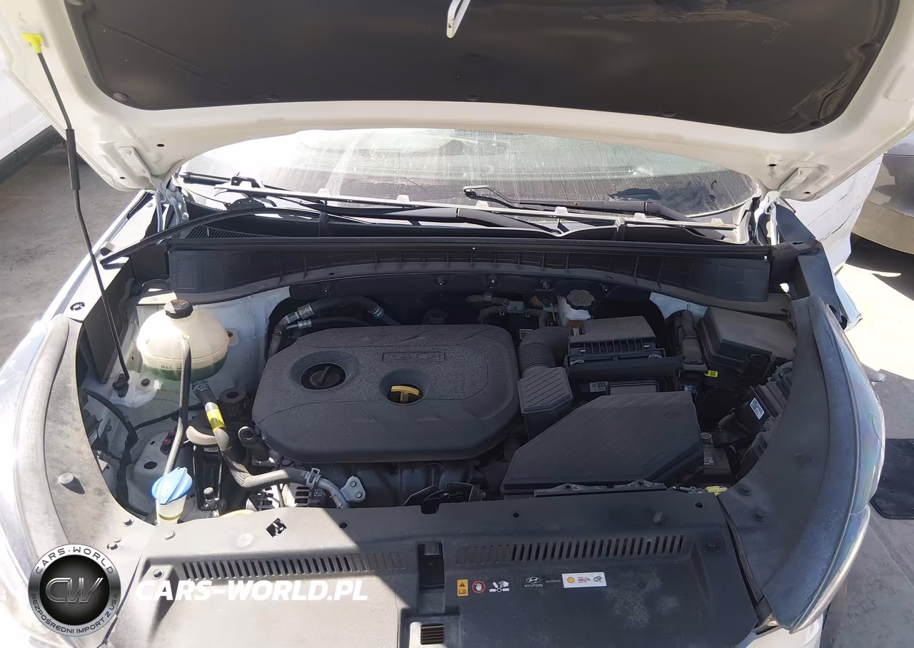 2021 Hyundai Tucson Value VIN:KM8J33A44MU298741 - 10