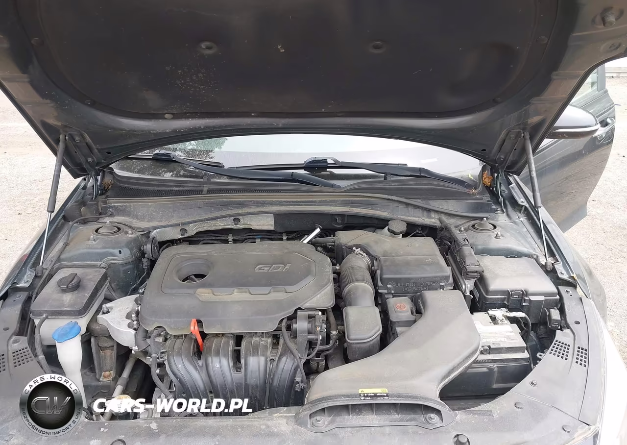 2016 Kia Optima Lx VIN:KNAGT4L31G5091616 - 10