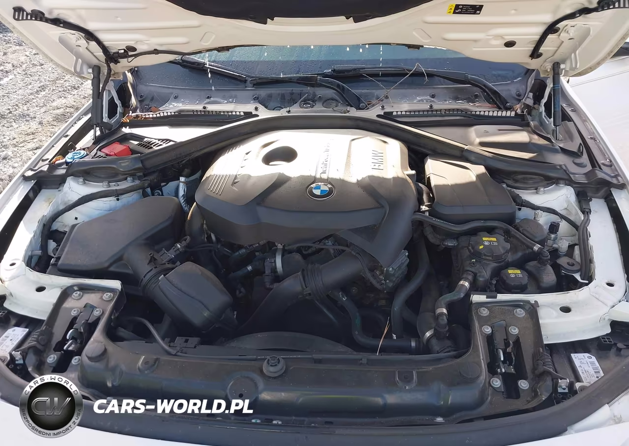 2017 BMW 3 Series 330I VIN:WBA8B9G59HNU49188 - 10