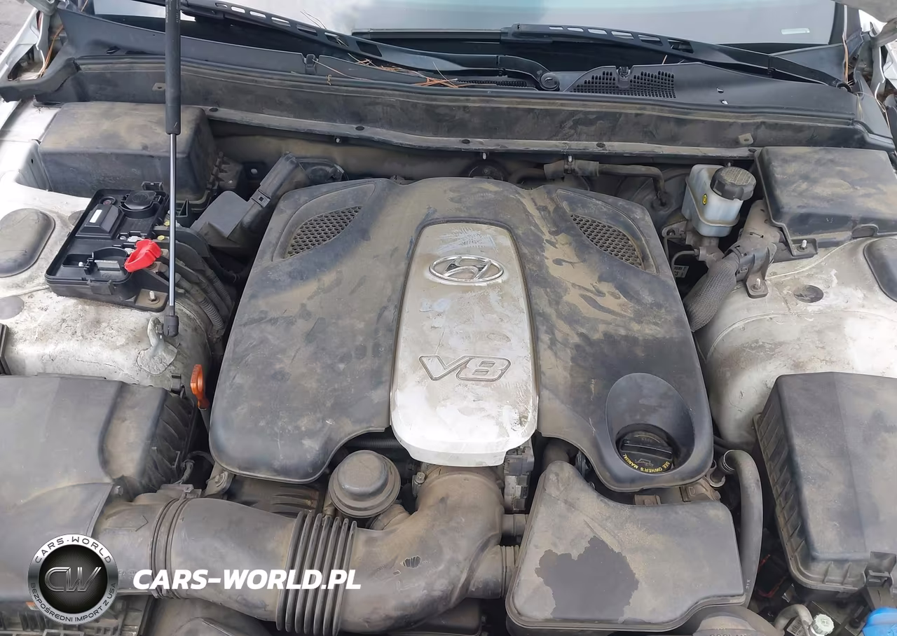 2010 Hyundai Genesis 4.6 VIN:KMHGC4DF8AU070282 - 10