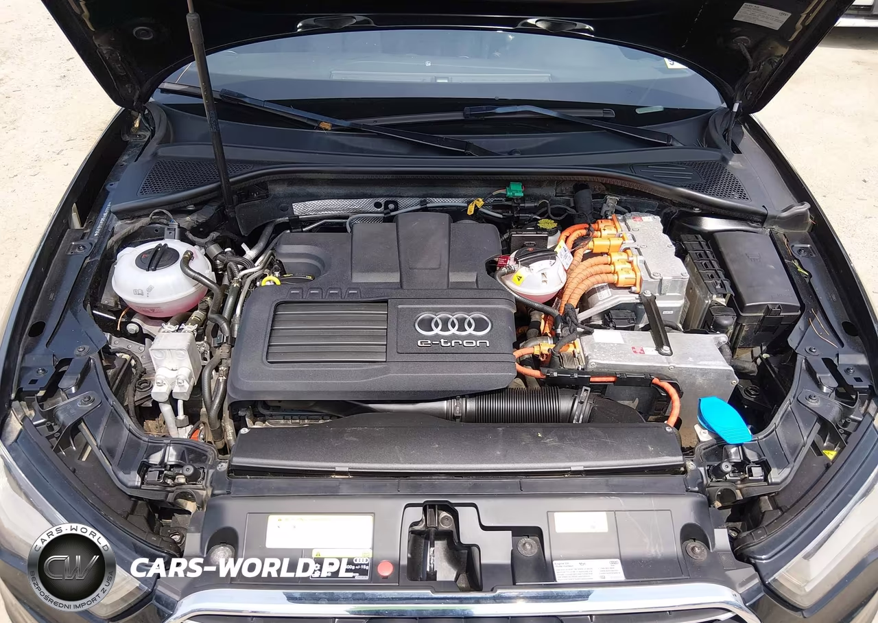 2016 Audi A3 E-Tron Premium VIN:WAUUPBFF6GA145310 - 10
