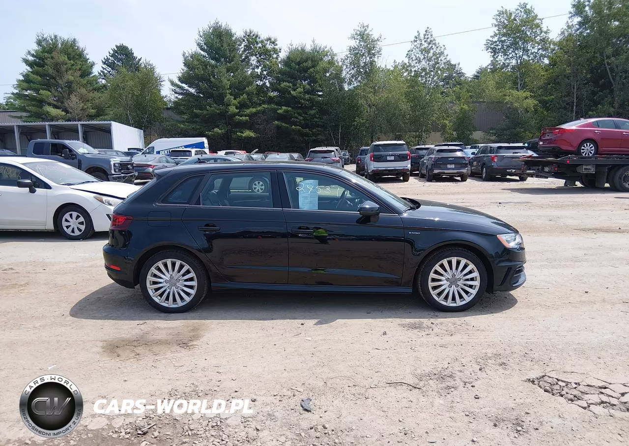 2016 Audi A3 E-Tron Premium VIN:WAUUPBFF6GA145310 - 13