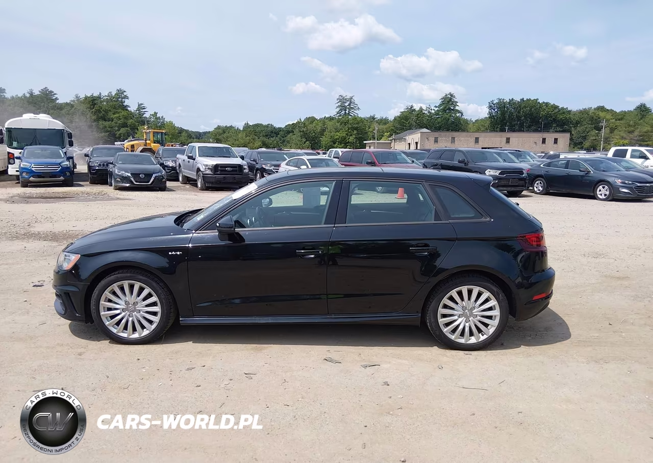 2016 Audi A3 E-Tron Premium VIN:WAUUPBFF6GA145310 - 14