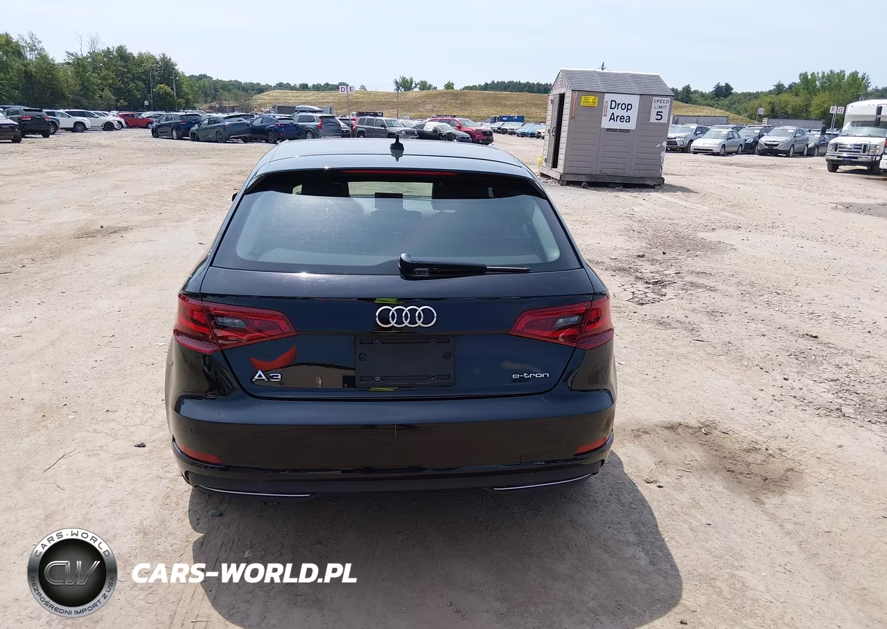 2016 Audi A3 E-Tron Premium VIN:WAUUPBFF6GA145310 - 16