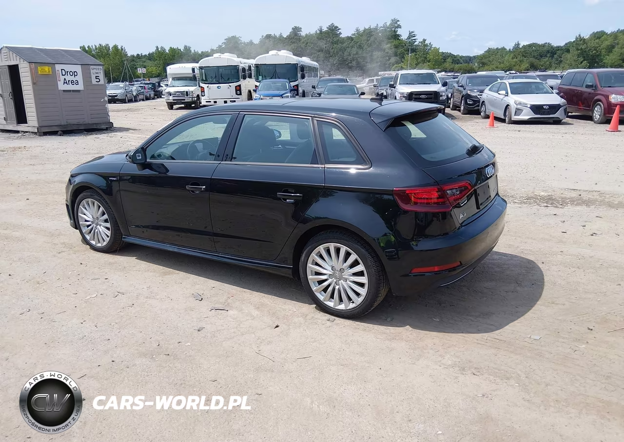 2016 Audi A3 E-Tron Premium VIN:WAUUPBFF6GA145310 - 3