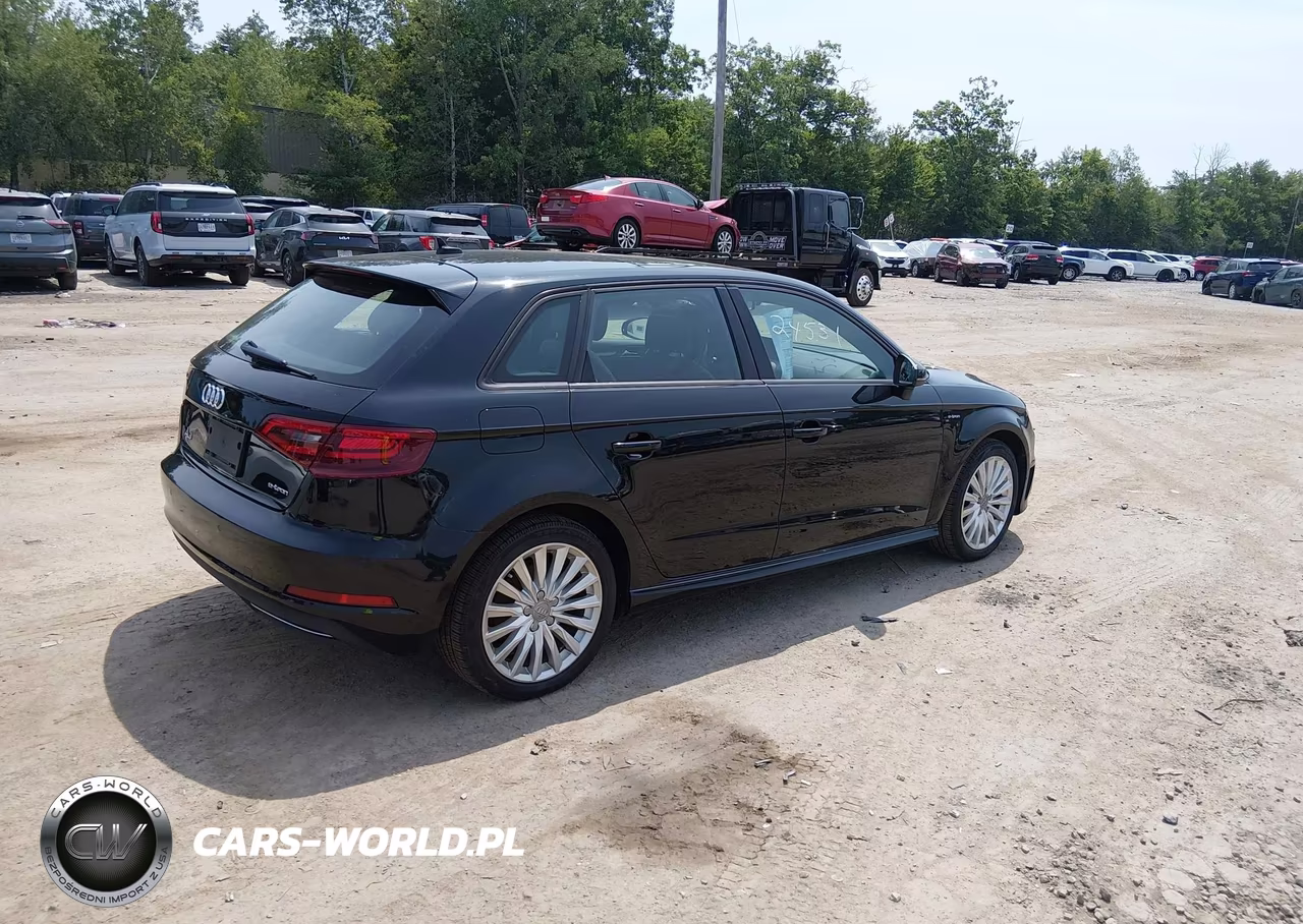 2016 Audi A3 E-Tron Premium VIN:WAUUPBFF6GA145310 - 4
