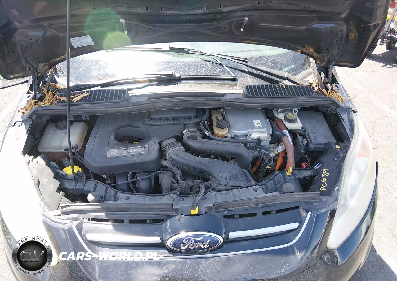 2014 Ford C-Max Hybrid Se VIN:1FADP5AU3EL515243 - 10