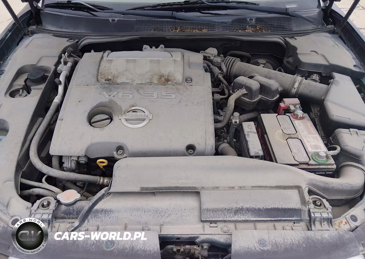2007 Nissan Maxima 3.5 Se VIN:1N4BA41EX7C851941 - 10