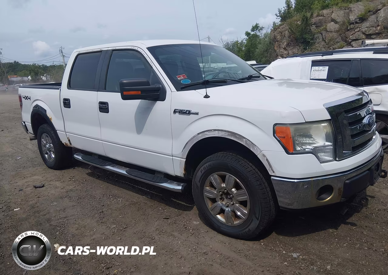 2009 Ford F-150 Fx4-King Ranch-Lariat-Platinum-Xl-Xlt VIN:1FTPW14V99FA79784 - 1