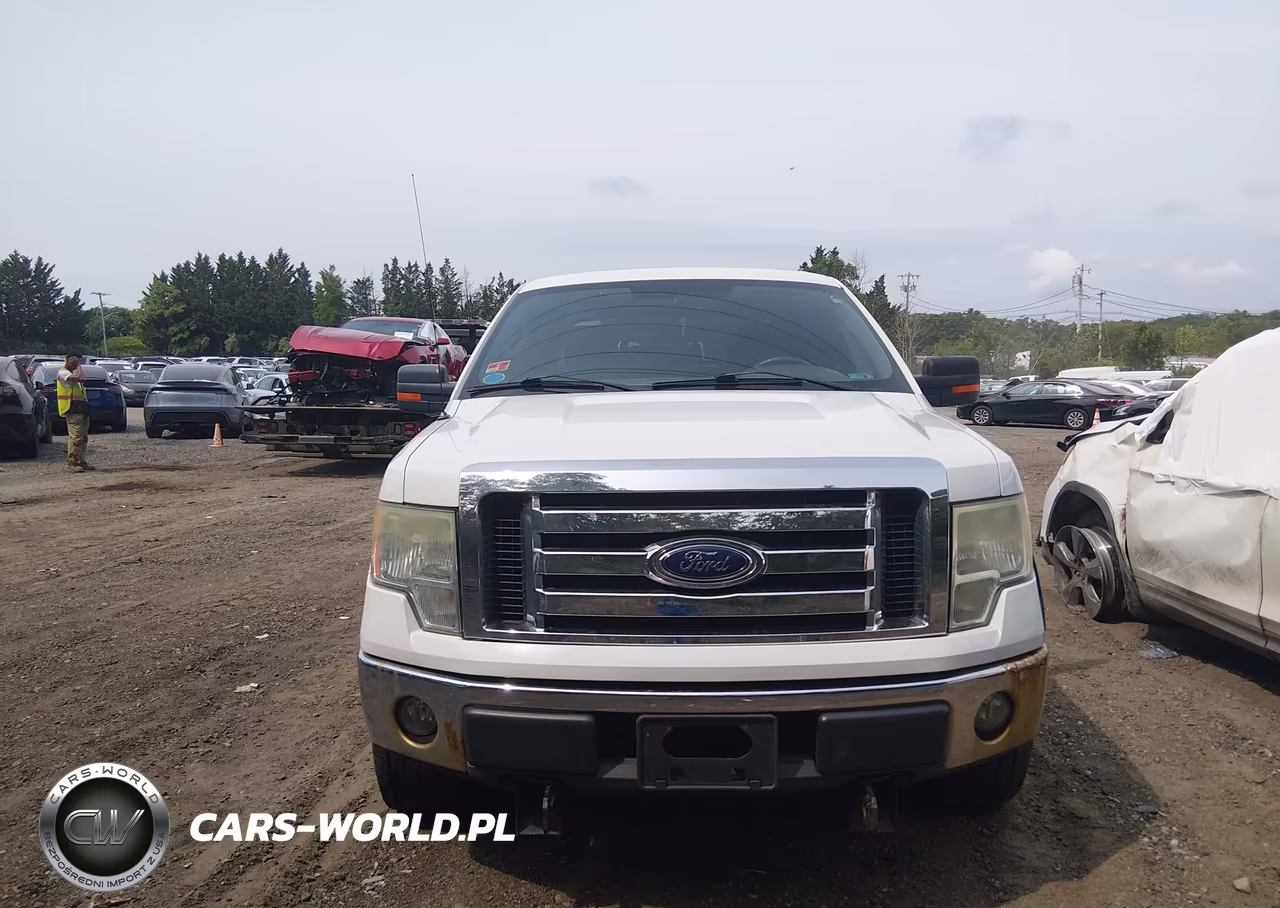 2009 Ford F-150 Fx4-King Ranch-Lariat-Platinum-Xl-Xlt VIN:1FTPW14V99FA79784 - 12