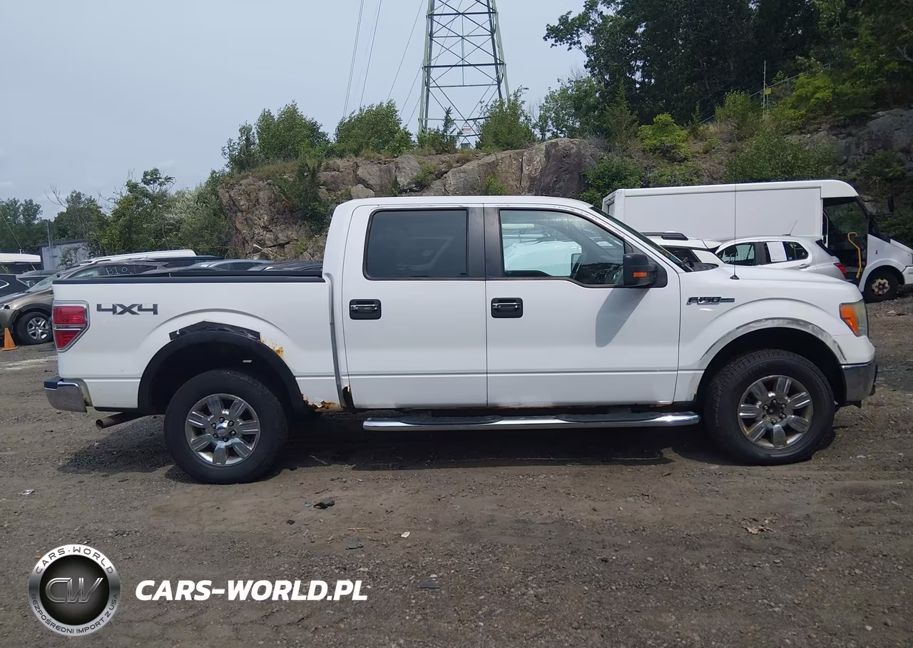 2009 Ford F-150 Fx4-King Ranch-Lariat-Platinum-Xl-Xlt VIN:1FTPW14V99FA79784 - 13