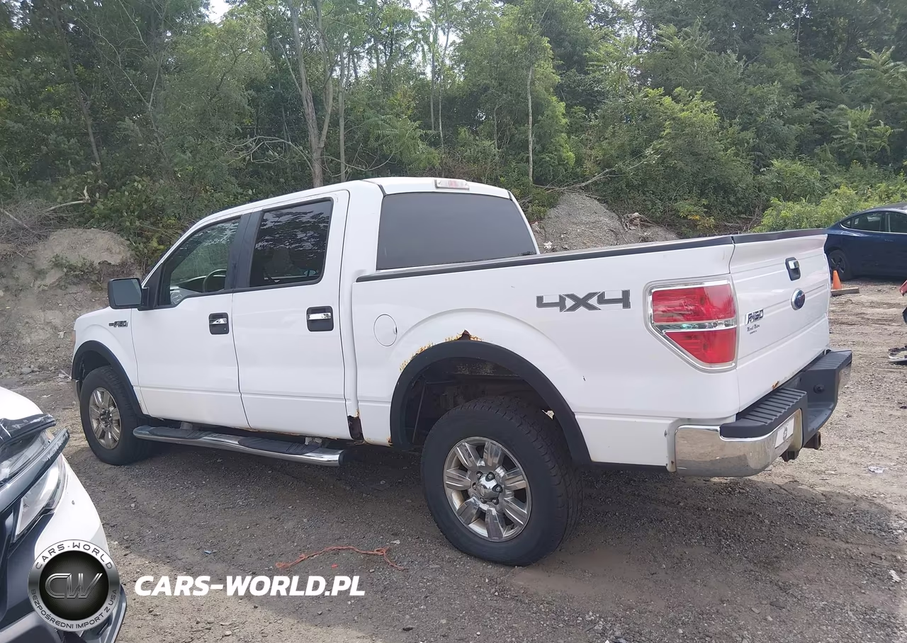 2009 Ford F-150 Fx4-King Ranch-Lariat-Platinum-Xl-Xlt VIN:1FTPW14V99FA79784 - 14