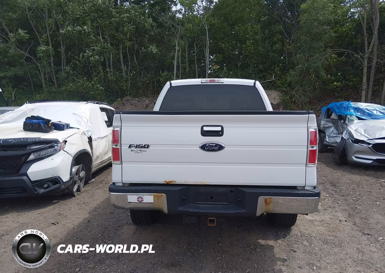 2009 Ford F-150 Fx4-King Ranch-Lariat-Platinum-Xl-Xlt VIN:1FTPW14V99FA79784 - 16