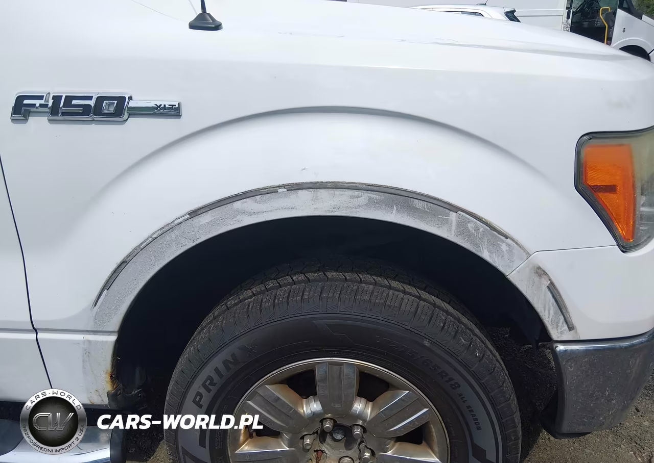 2009 Ford F-150 Fx4-King Ranch-Lariat-Platinum-Xl-Xlt VIN:1FTPW14V99FA79784 - 19