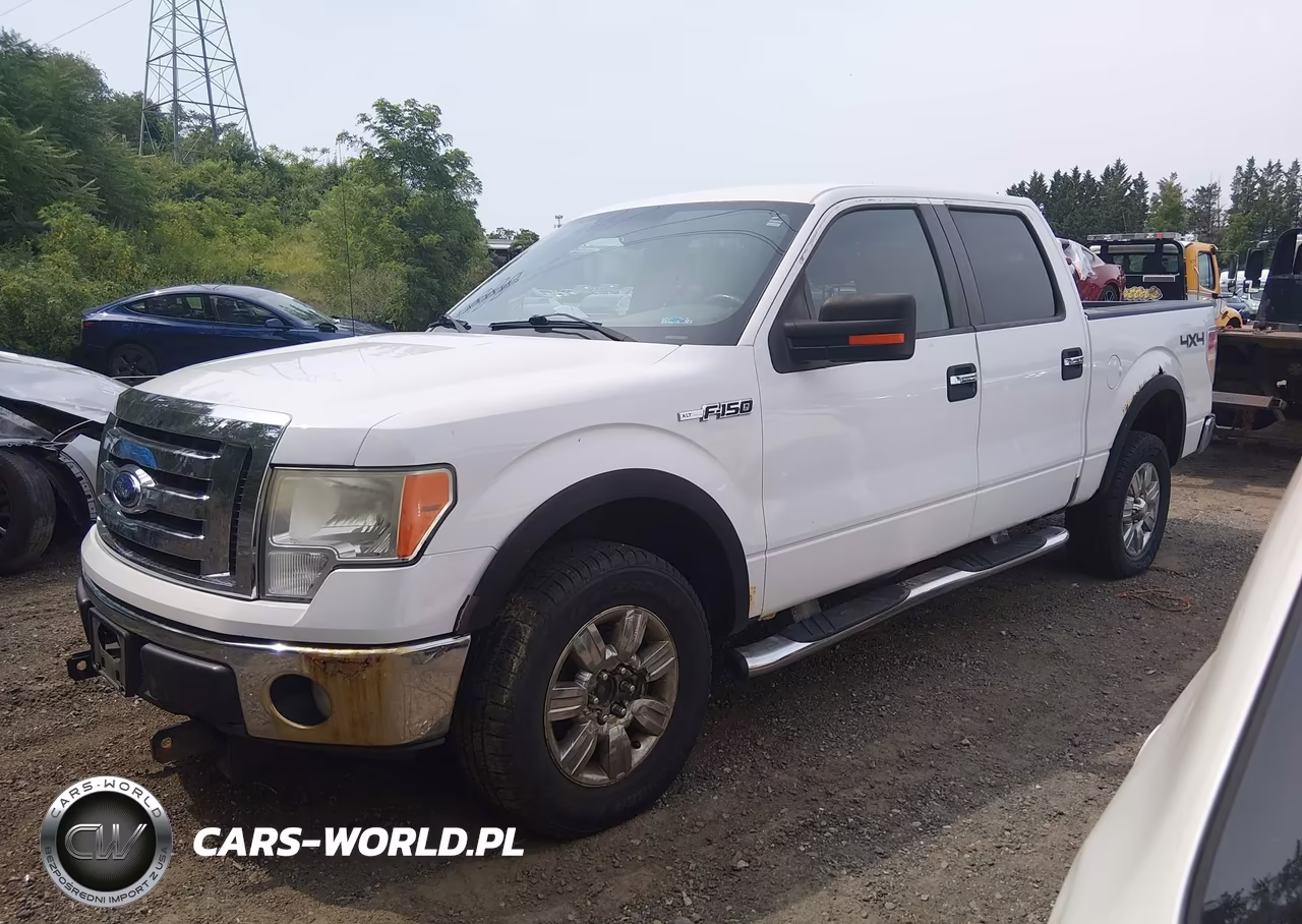 2009 Ford F-150 Fx4-King Ranch-Lariat-Platinum-Xl-Xlt VIN:1FTPW14V99FA79784 - 2