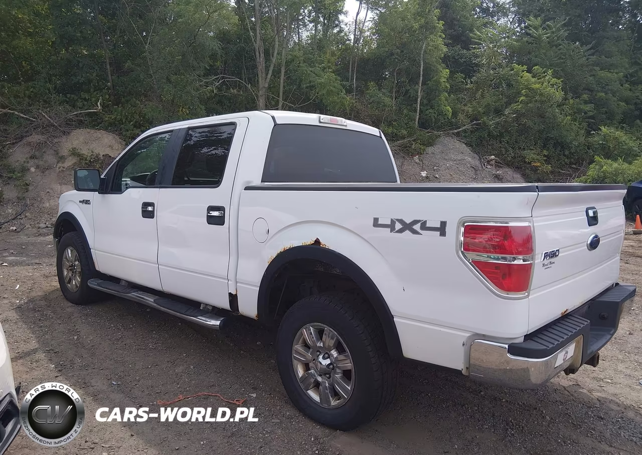 2009 Ford F-150 Fx4-King Ranch-Lariat-Platinum-Xl-Xlt VIN:1FTPW14V99FA79784 - 3