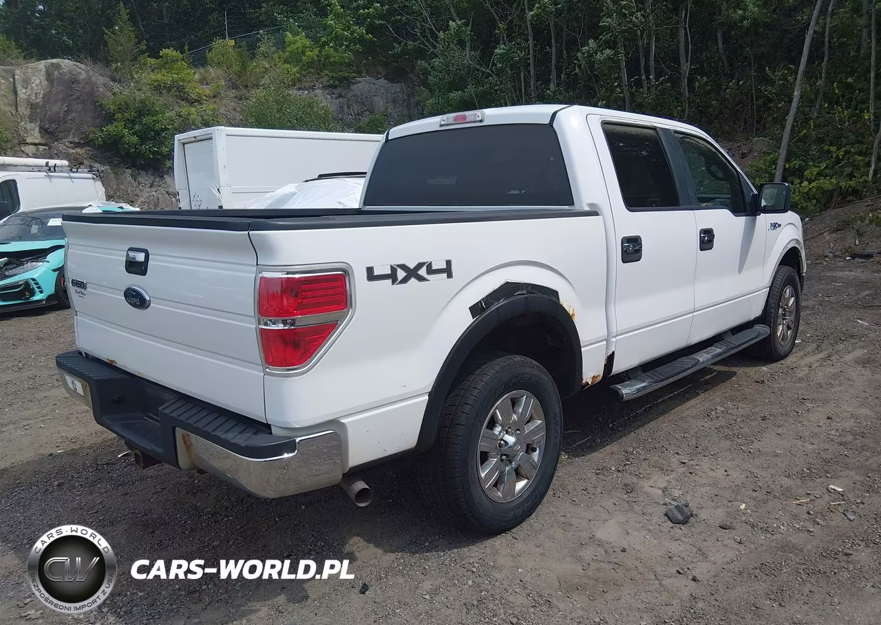 2009 Ford F-150 Fx4-King Ranch-Lariat-Platinum-Xl-Xlt VIN:1FTPW14V99FA79784 - 4