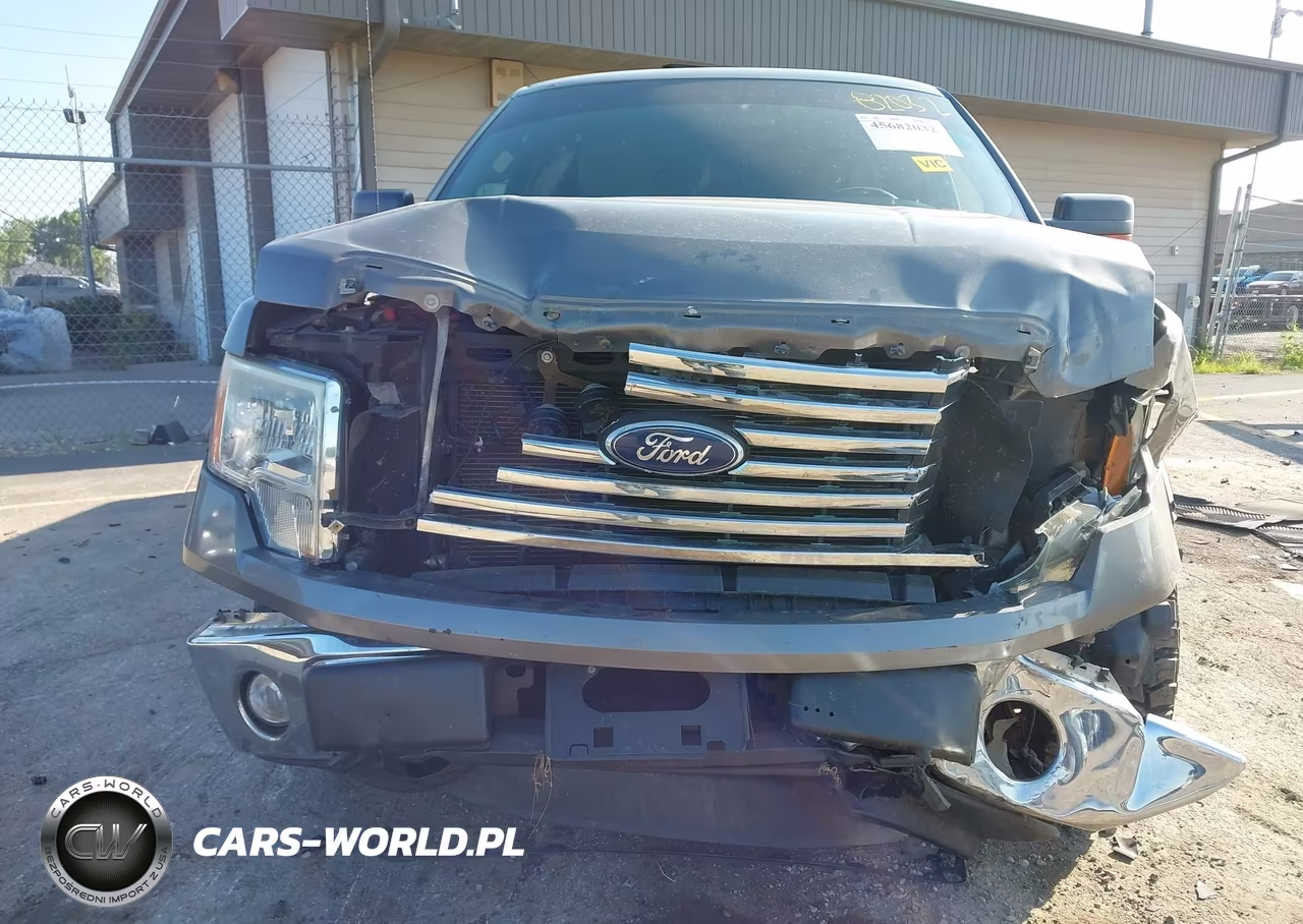 2011 Ford F-150 Xlt VIN:1FTFX1EF2BFA71273 - 12