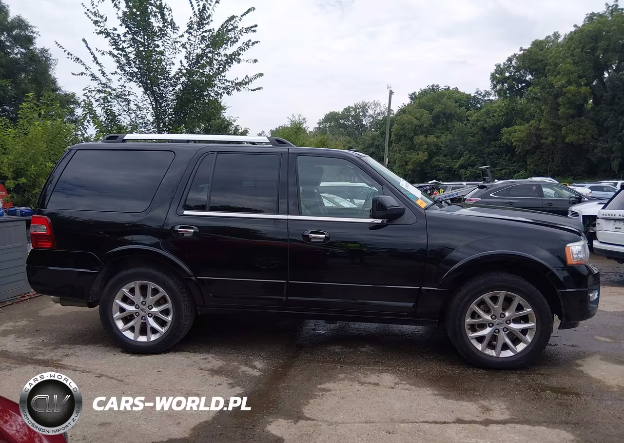 2016 Ford Expedition Limited VIN:1FMJU2AT4GEF36231 - 13