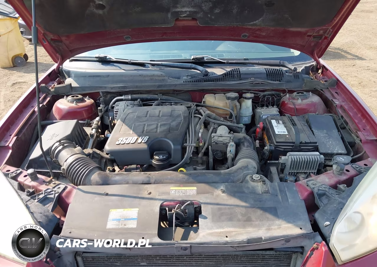 2006 Chevrolet Malibu Lt VIN:1G1ZT51826F256154 - 10