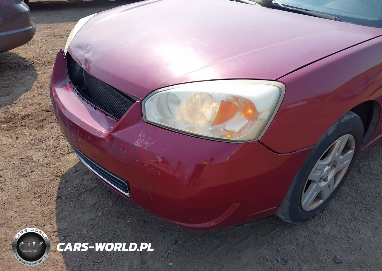 2006 Chevrolet Malibu Lt VIN:1G1ZT51826F256154 - 18