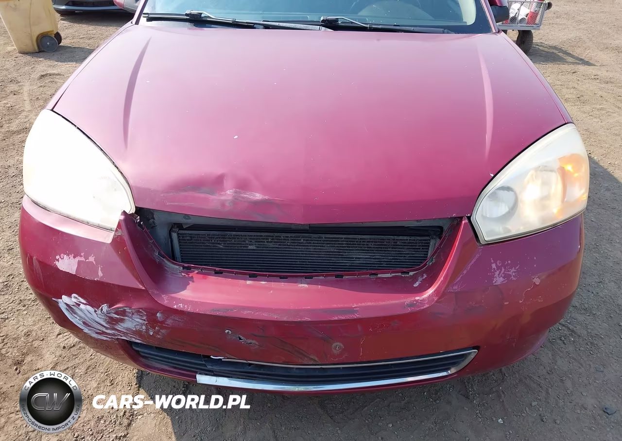 2006 Chevrolet Malibu Lt VIN:1G1ZT51826F256154 - 6