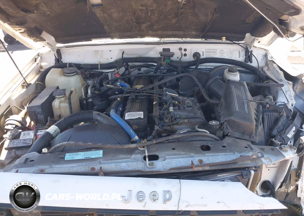1995 Jeep Cherokee Se VIN:1J4FJ28S0SL653920 - 10
