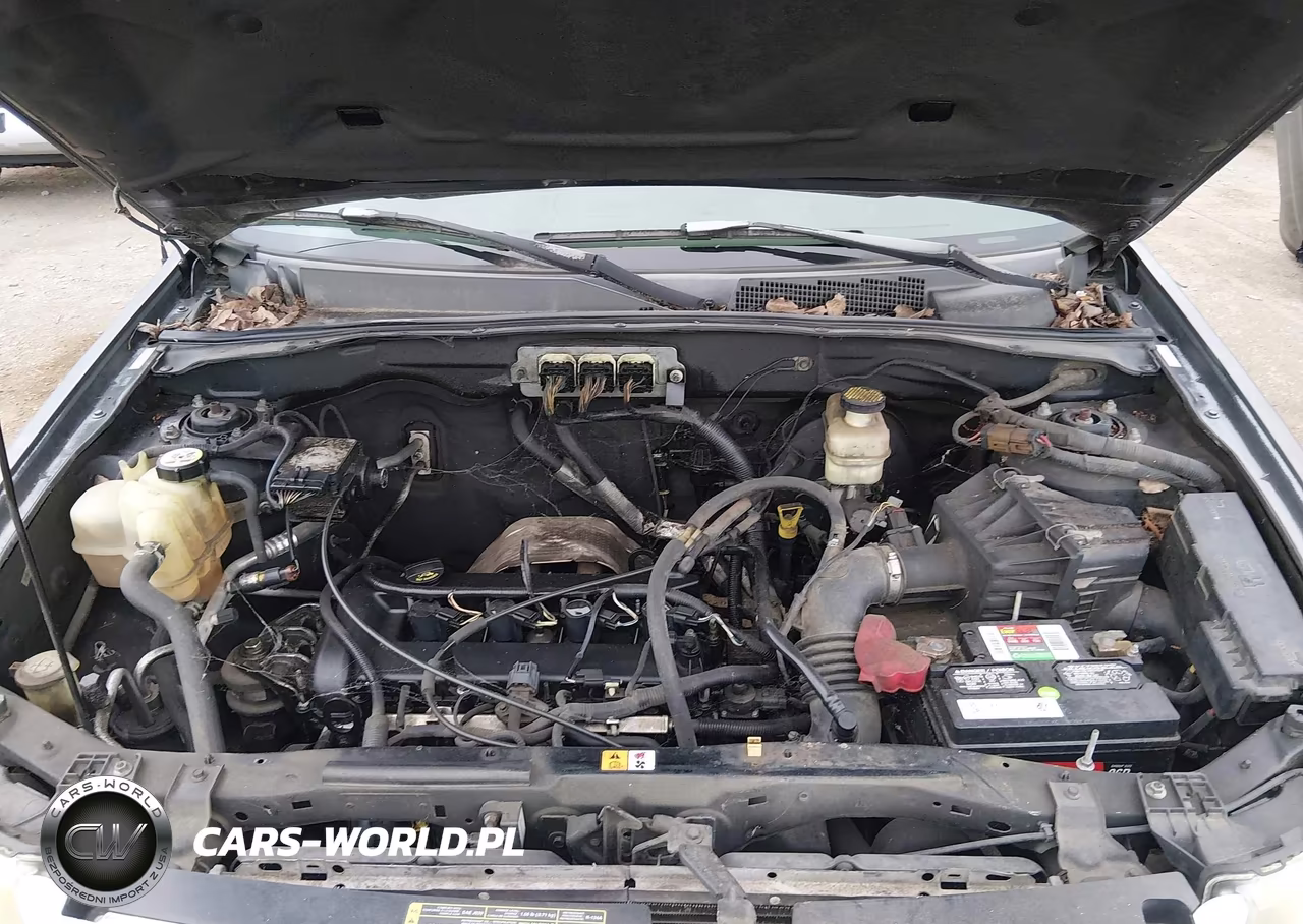 2008 Ford Escape Xlt VIN:1FMCU03Z38KA09976 - 10