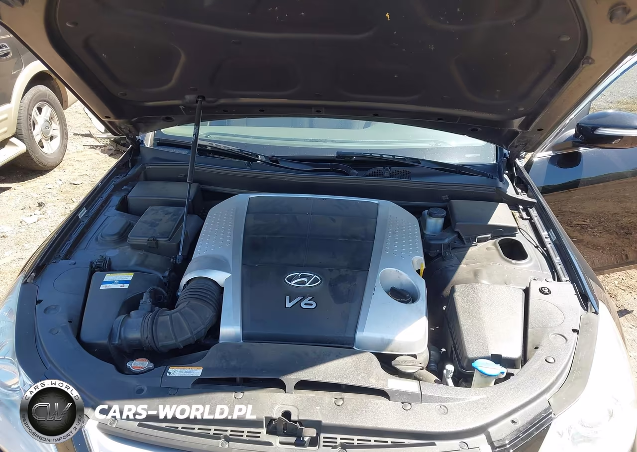 2011 Hyundai Genesis 3.8 VIN:KMHGC4DE7BU141271 - 10