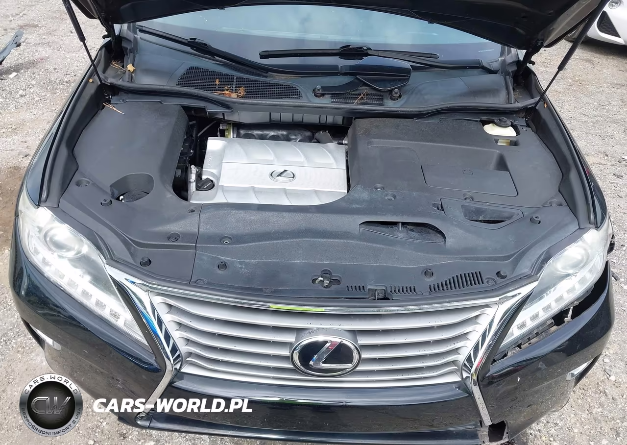 2015 Lexus Rx 350 VIN:2T2ZK1BA7FC197319 - 10