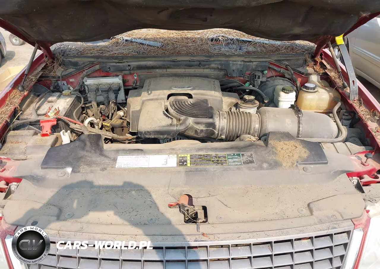 2003 Ford Expedition Xlt VIN:1FMPU16L73LB98262 - 10