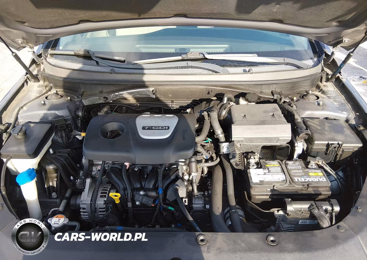 2018 Hyundai Sonata Eco VIN:5NPE24AA5JH706982 - 10