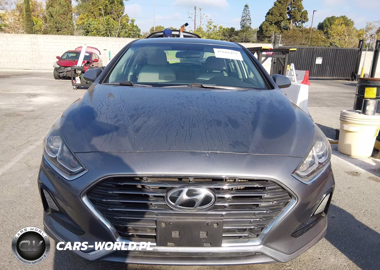 2018 Hyundai Sonata Eco VIN:5NPE24AA5JH706982 - 12