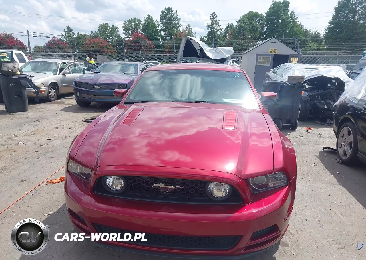 2014 Ford Mustang Gt-Gt Premium VIN:1ZVBP8CF6E5251101 - 12