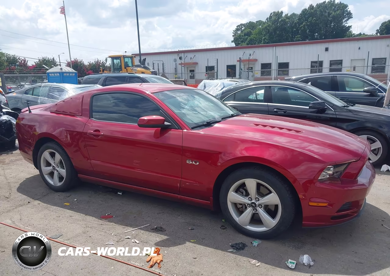 2014 Ford Mustang Gt-Gt Premium VIN:1ZVBP8CF6E5251101 - 13