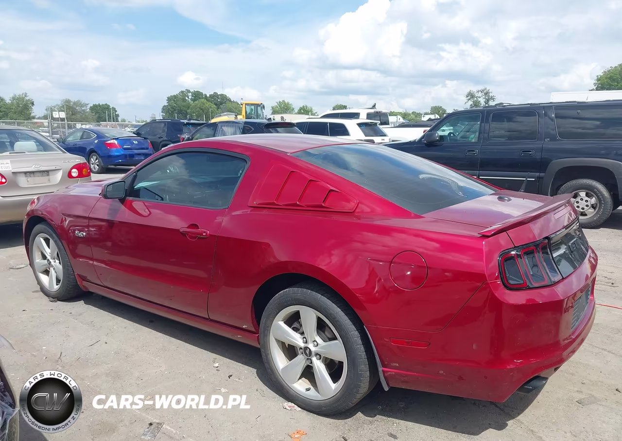 2014 Ford Mustang Gt-Gt Premium VIN:1ZVBP8CF6E5251101 - 14