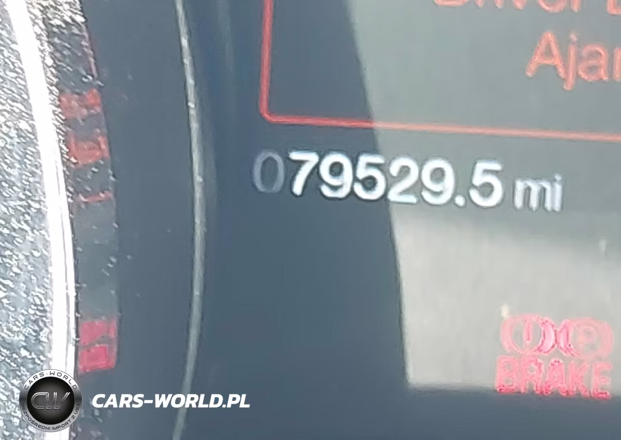 2014 Ford Mustang Gt-Gt Premium VIN:1ZVBP8CF6E5251101 - 15