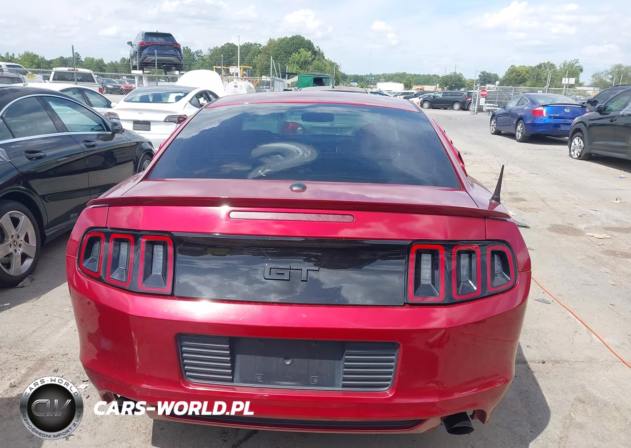 2014 Ford Mustang Gt-Gt Premium VIN:1ZVBP8CF6E5251101 - 16
